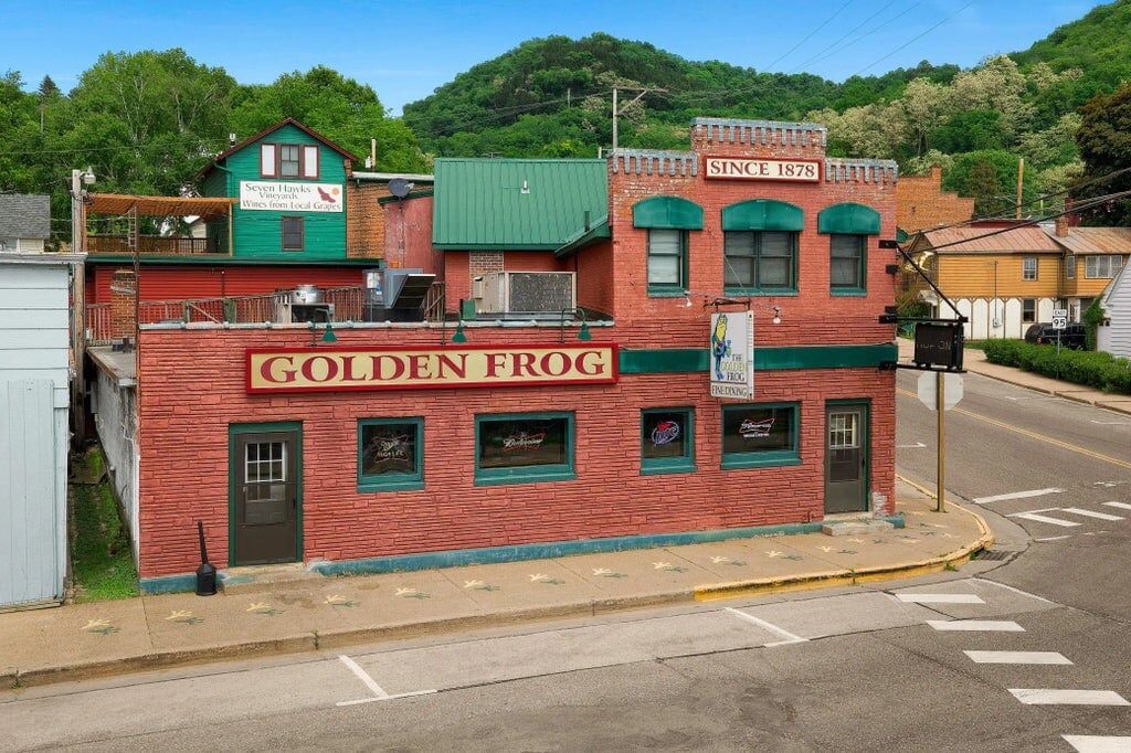 golden-frog-7